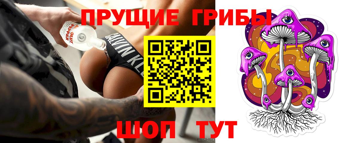Псилоцибиновые грибы Psilocybe  Вход с VPN  Балашов 